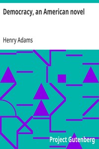 Capa de Democracy, an American novel
