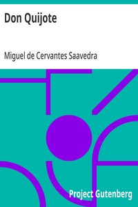 Capa de Don Quijote